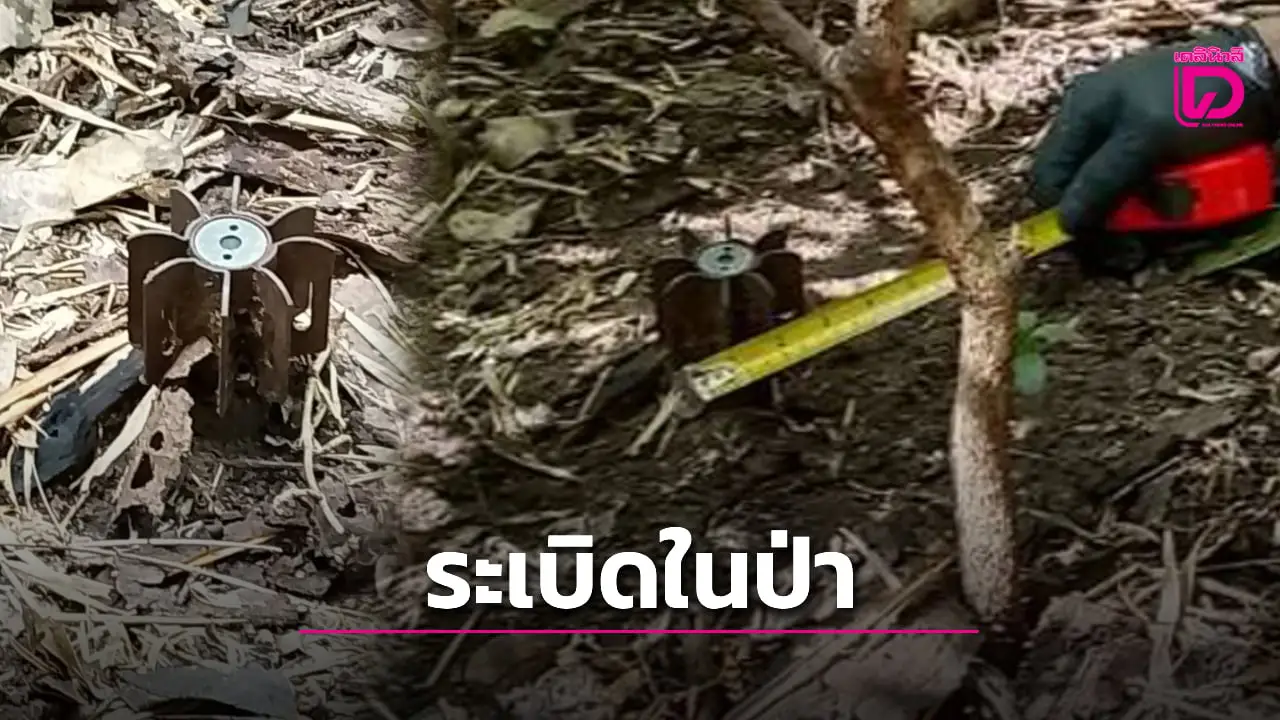 ชาวบ้านชะอำ-เพชรบุรี ขุดหน่อไม้เจอ ‘ระเบิด-ปืนค.’ กลางป่า โร่แจ้ง EOD เก็บทำลายทิ้งด่วน!