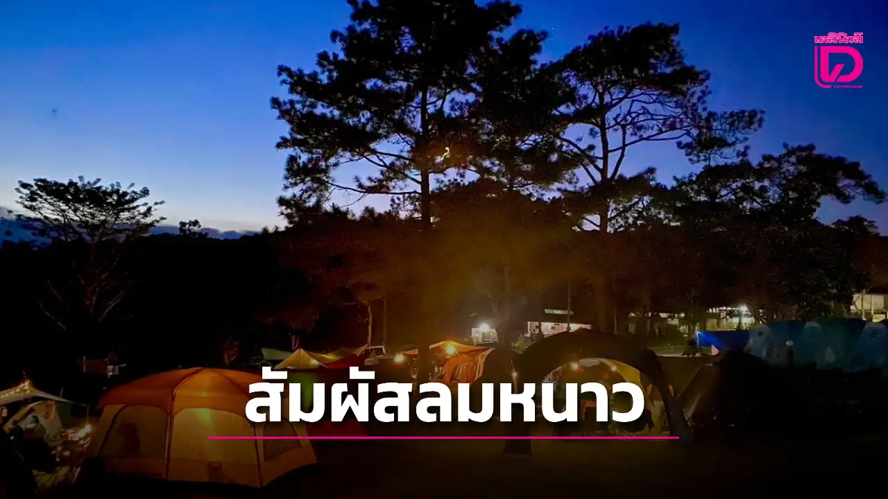 นักท่องเที่ยวแห่แคมป์ปิ้งรับลมหนาว 16 องศาฯ ลานกางเต็นท์ภูสน อุทยานแห่งชาติภูเรือ