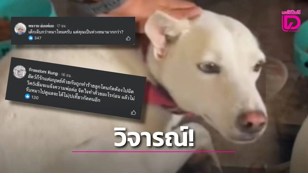 ทัวร์ถล่มหนัก ‘วอชด็อกไทยแลนด์’ แจ้งความมั่วปมพ่อเด็ก 2 ขวบ ตีหมาเพราะกัดลูก