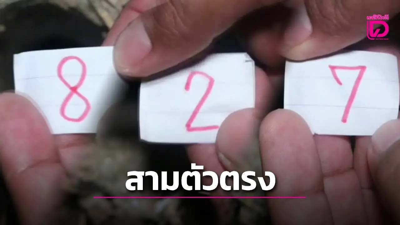 โค้งสุดท้าย! แจกเลขเด็ดสามตัวตรง ‘พญาบึ้งวัดโบสถ์’ จ.อ่างทอง