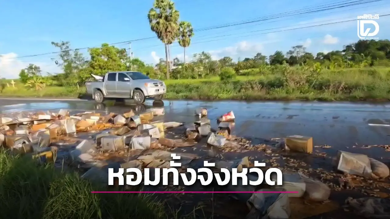 ปลาร้าเกลื่อนถนน! กระบะยางระเบิดกลางทาง พลิกคว่ำ 200 ปี๊บกระจายกลิ่นฟุ้งทั่วบุรีรัมย์