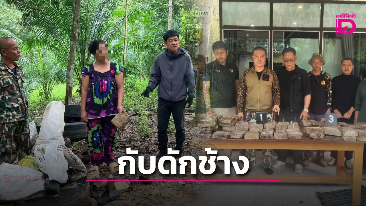 ‘ชัยวัฒน์’ ลุยแก่งกระจาน ขยายผลจับ-ยึด ‘กับดักช้าง’ สั่งเอาผิดคนลักลอบล่าช้างป่า