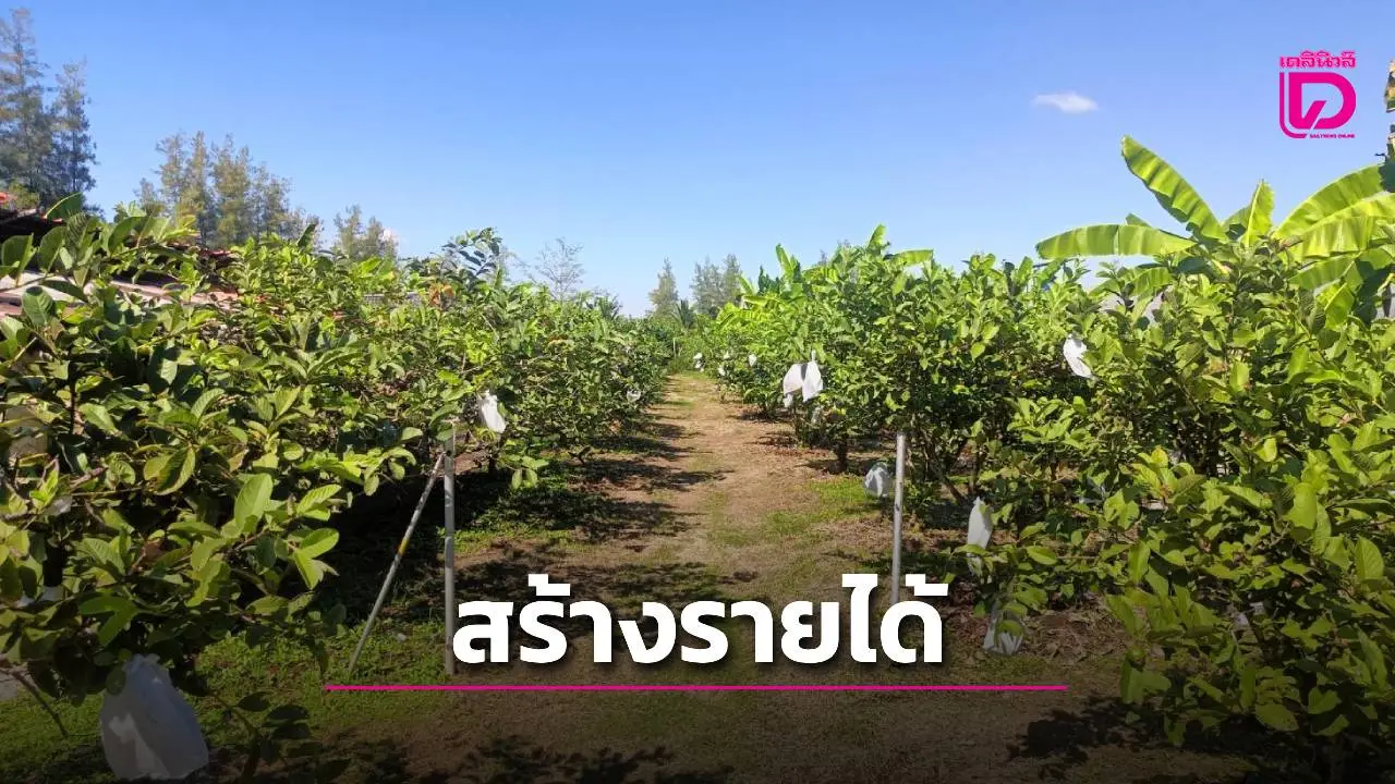 ศึกษาแนวทาง'เกษตรอินทรีย์เชิงท่องเที่ยว'สร้างรายได้ให้กับชุมชน