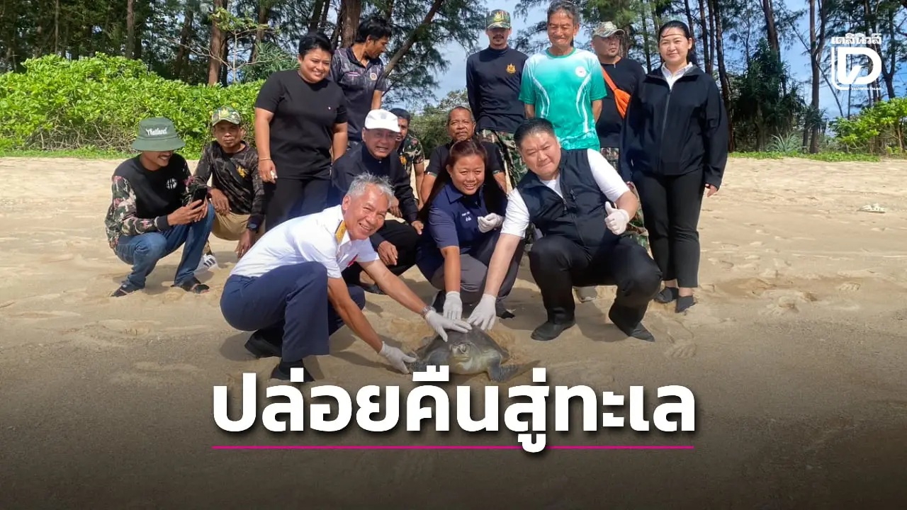 ‘อนุรักษ์ทะเล’ นายอำเภอ-อุทยานฯเขาลำปี–หาดท้ายเหมือง ปล่อย ‘เต่าหญ้า’ หายบาดเจ็บคืนสู่ทะเล