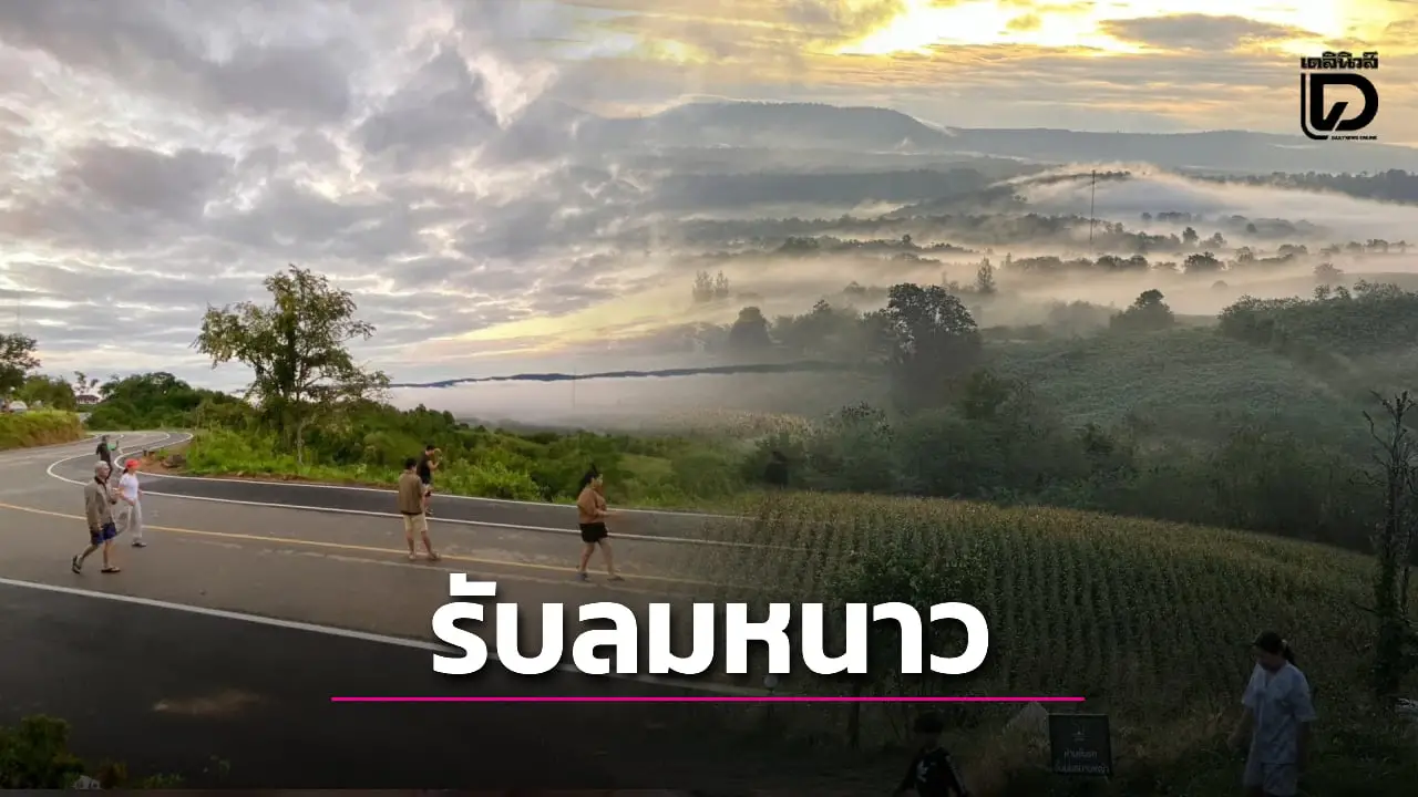 อากาศสุดฟิน! วังน้ำเขียว แห่นอนกางเต็นท์ สัมผัสหนาว-ทะเลหมอกยามเช้า ‘เขาแผงม้า’