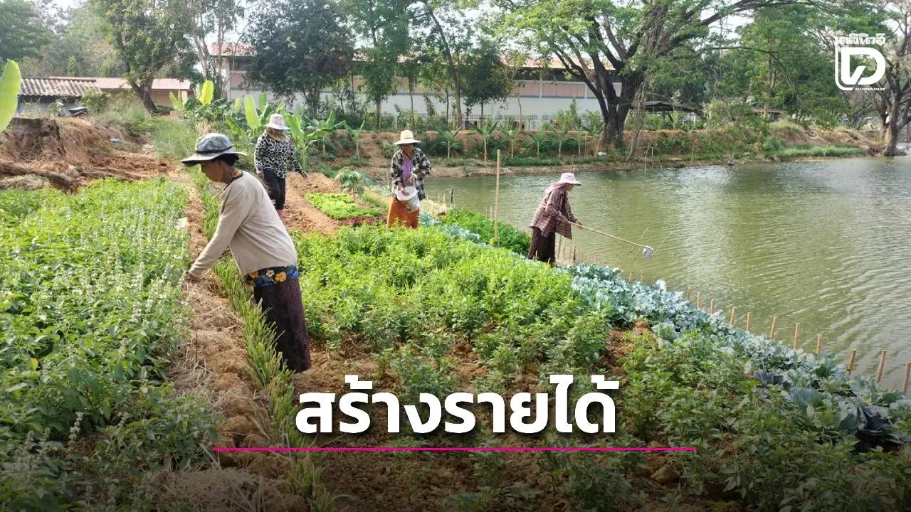 เน้น 5 ยุทธศาสตร์หลัก สร้างรายได้–ยกระดับคุณภาพชีวิตเกษตรกรไทย