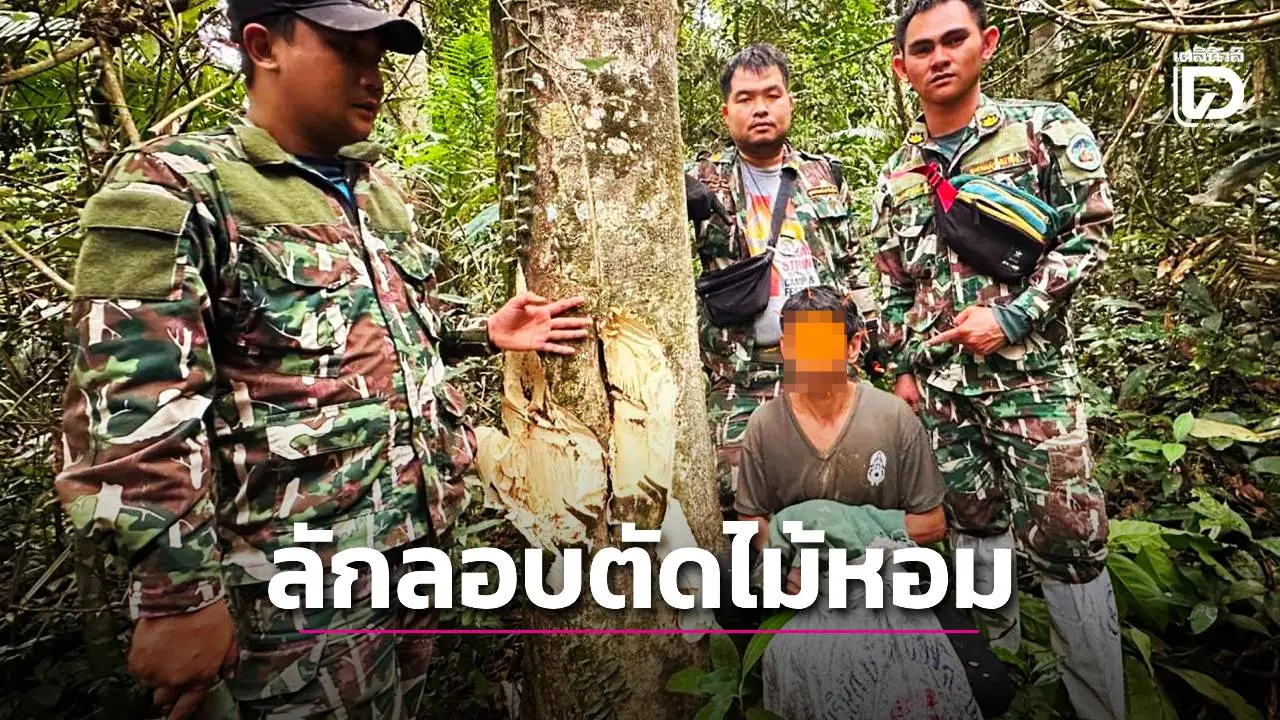 แก๊งมอดไม้สุดเหิมบุกอุทยานฯเข้าใหญ่ ลักลอบตัดไม้หอมส่งขายนายทุน