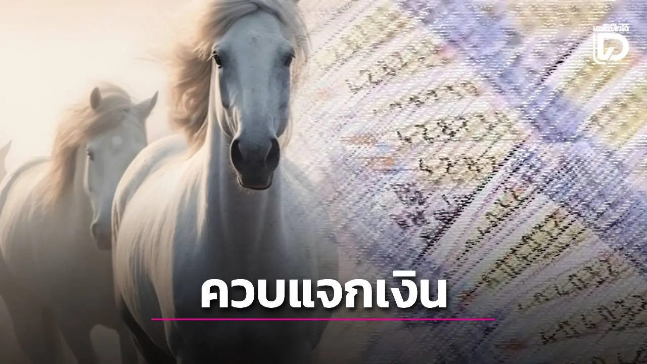 ม้าสีหมอกมาแรง! แนวทางหวยงวด 16 พ.ย. 68 เลขเด็ดมาแล้ว