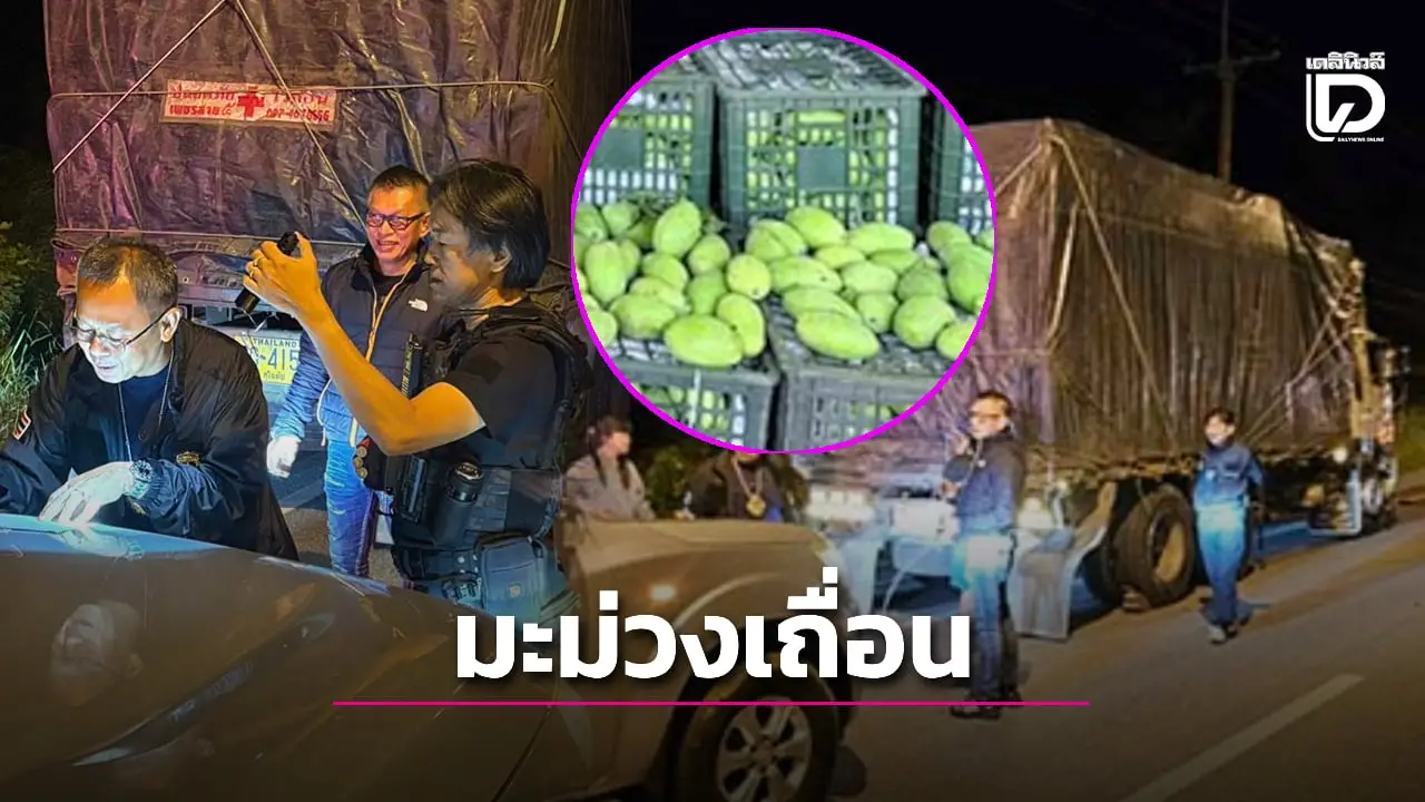 ศุลกากรตรวจยึดมะม่วงเถื่อน ลอบนำเข้าเต็มรถสิบล้อ เตรียมส่งตลาดไท