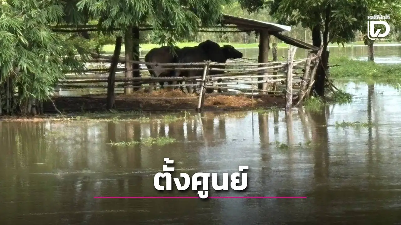 ตั้งศูนย์ประสานข้อมูลภัยพิบัติ สั่งทุกกรมเร่งส่งข้อมูลเครื่องมือ การช่วยเหลือ