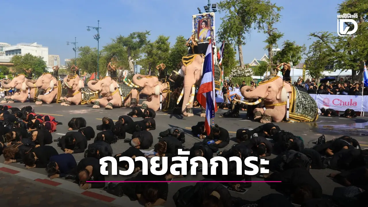 กลุ่มคชสารฯสำนึกในพระมหากรุณาธิคุณ นำช้าง 11 เชือก ถวายอาลัย ‘พระพันปีหลวง’