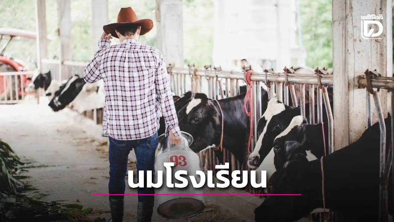 เห็นชอบปรับโครงสร้าง คกก. เสนอทบทวนมติ ครม. เกี่ยวกับแนวทางการบริหารจัดการนมโรงเรียน