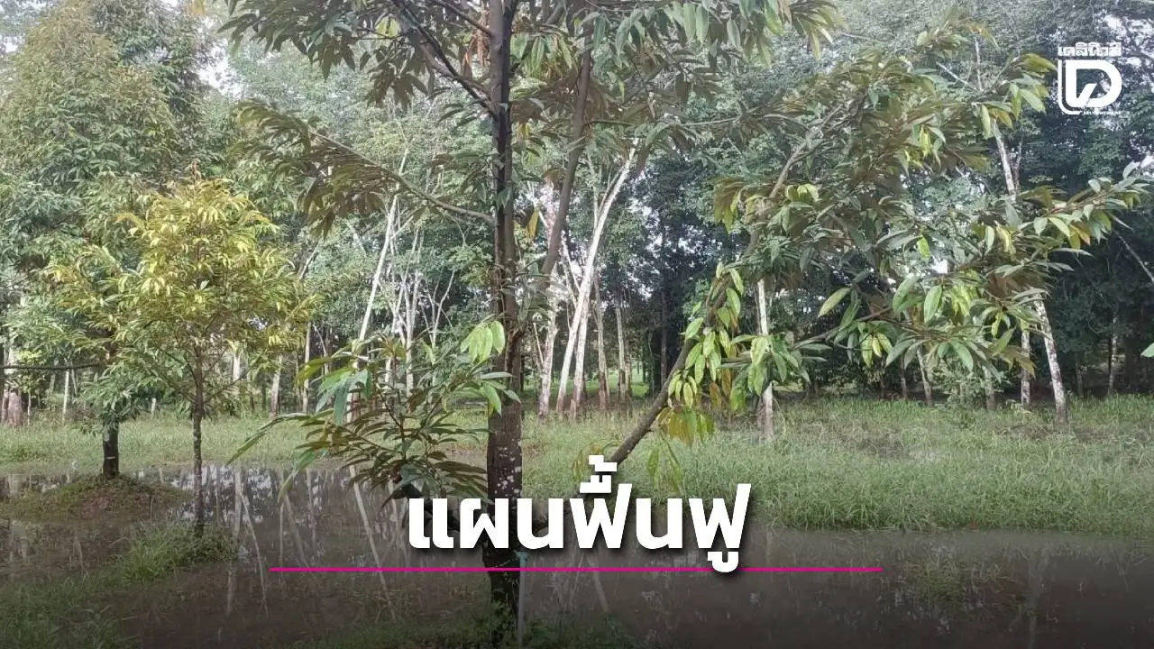 เปิดแผนฟื้นฟูน้ำท่วมภาคใต้ แบ่งการดำเนินงานเป็น 3 ระยะ