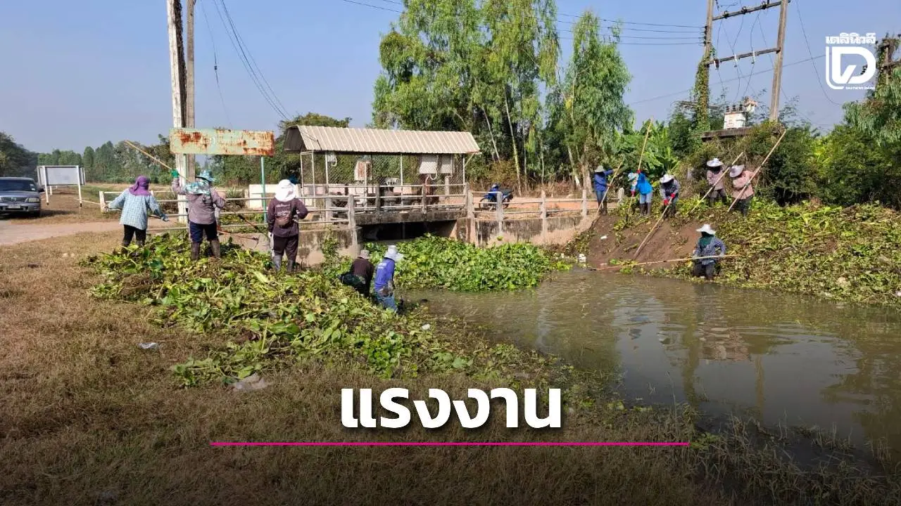 ตั้งเป้า กว่า 8.4 หมื่นคน จ้างแรงงานช่วยเหลือพี่น้องเกษตรกร