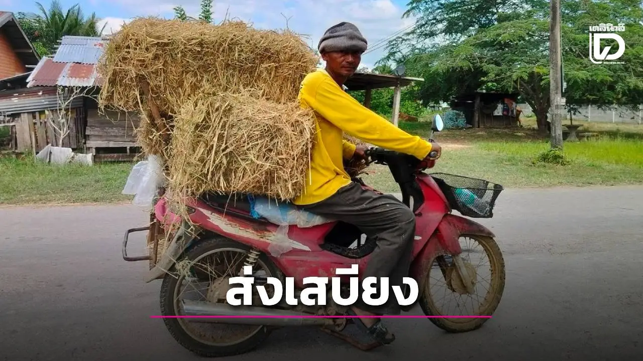 ส่งเสบียงอาหารสัตว์ ช่วยเหลือเกษตรกรผู้ได้รับผลกระทบจากเหตุปะทะแนวชายแดนไทย-กัมพูชา