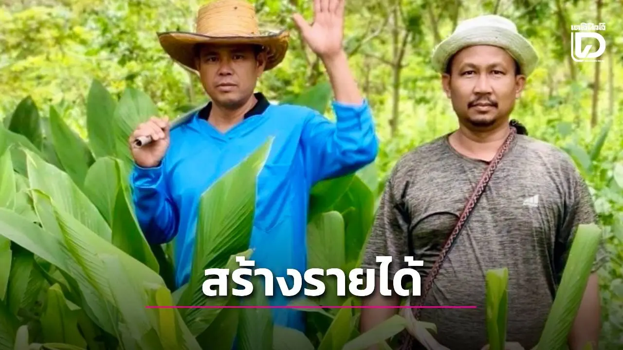 ดันนวัตกรรมแปรรูปสมุนไพรสร้างเศรษฐกิจสีเขียว-สกัดช้างป่ารุกเมือง–สร้างรายได้ยั่งยืน