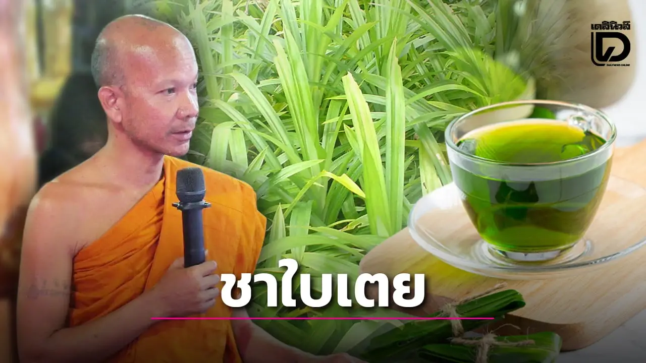 ชาใบเตยกลิ่นหอมชื่นใจ ไม่ได้มีดีแค่ดับร้อนแก้กระหายน้ำเท่านั้น