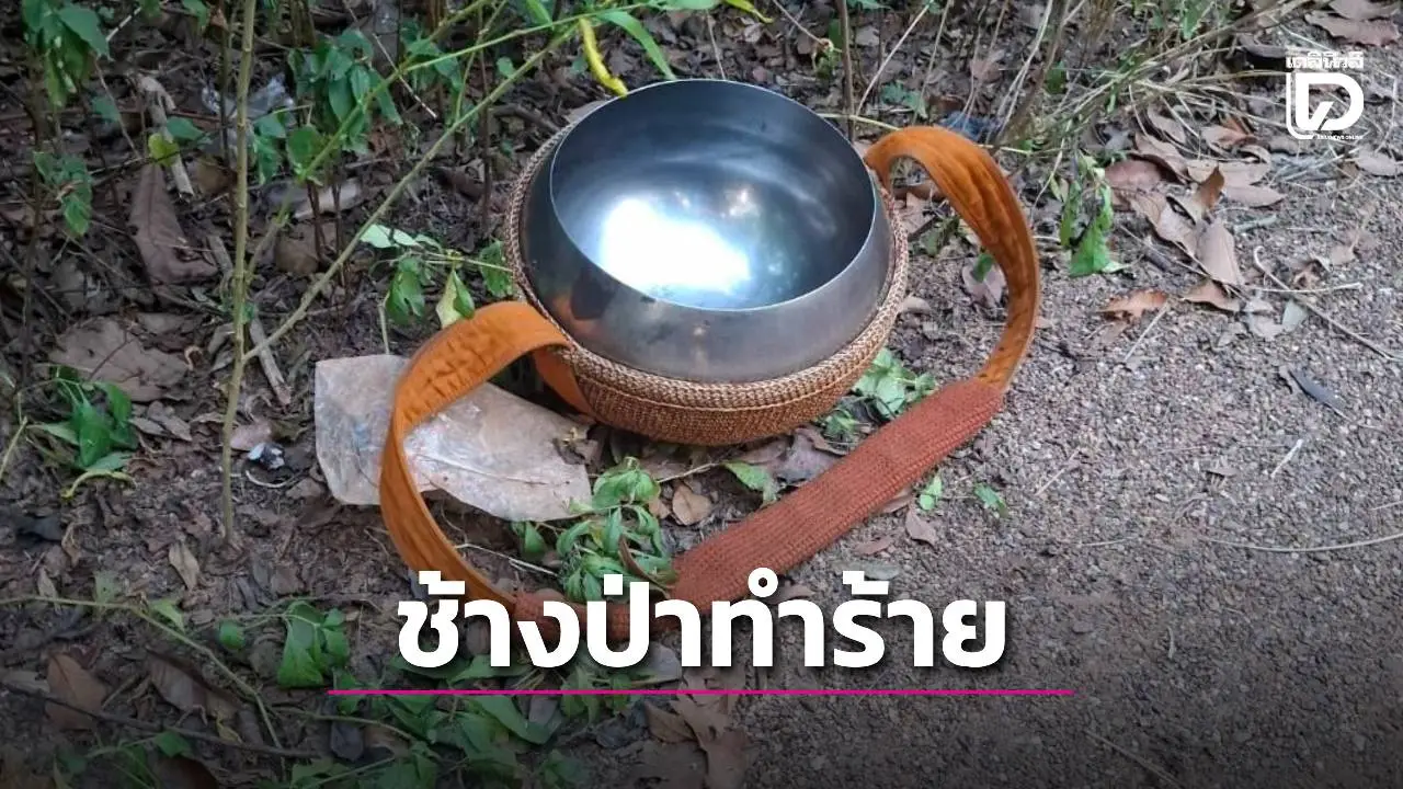 สุดเศร้า! ช้างป่าภูหลวง ทำร้ายพระสงฆ์มรณภาพ