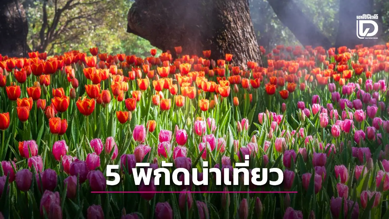 5 พิกัดงานน่าเที่ยวปลายปี