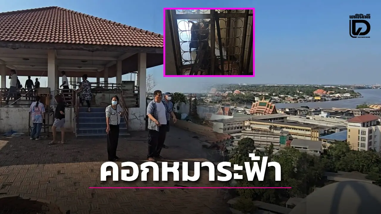 สุดทน! อดีต ผจก.นิติฯ ยึดดาดฟ้าคอนโดฯหรูริมเจ้าพระยา เลี้ยงหมาร่วมร้อยตัว