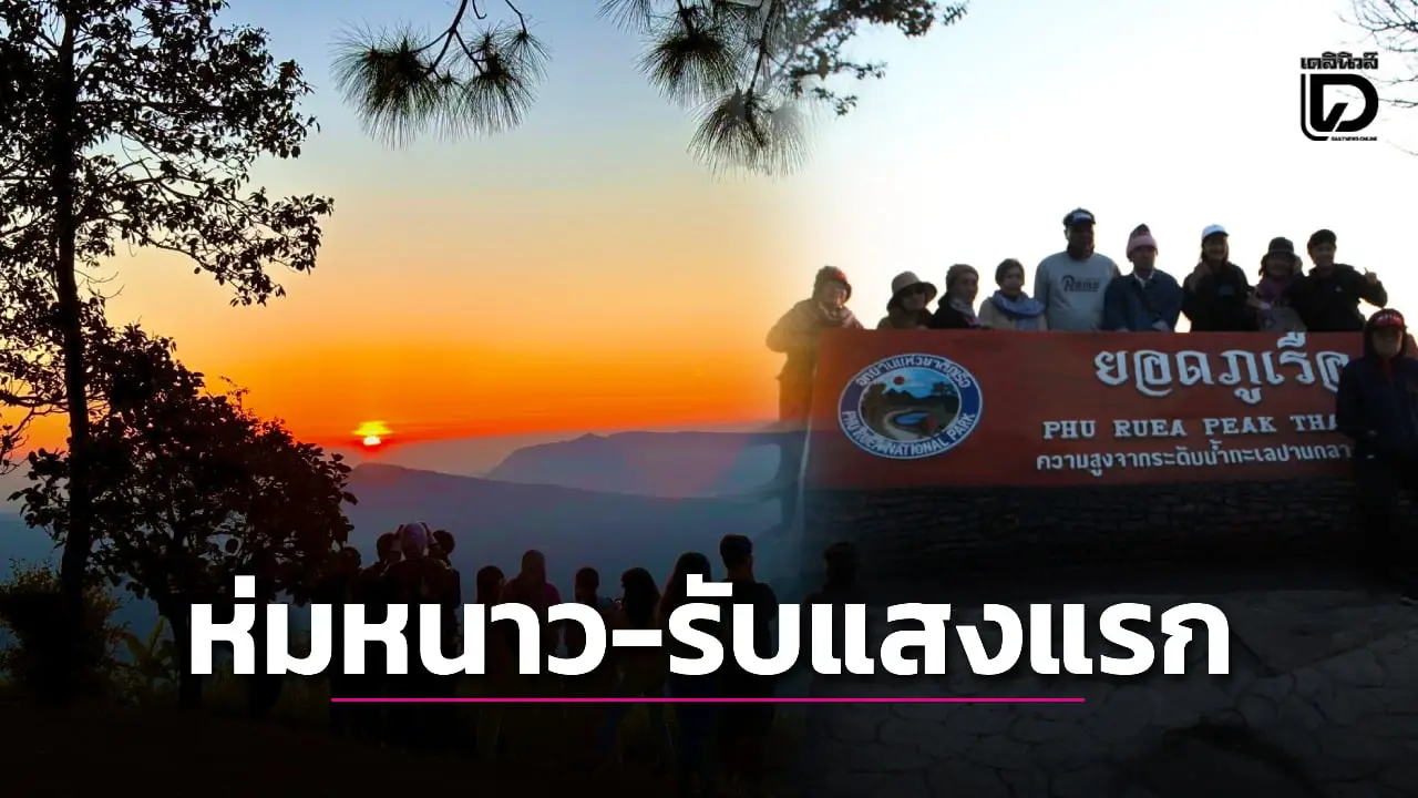ภูเรือคึกคัก! แห่ห่มหนาว 11 องศาฯ รับแสงแรก-ชมซากุระเมืองไทยบานสะพรั่ง