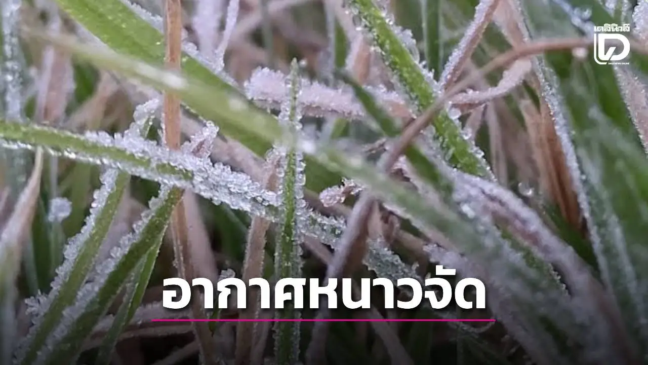'ภาคเหนือ' อากาศหนาวถึงหนาวจัด ต่ำสุด 3 องศาฯ-มีน้ำค้างแข็ง