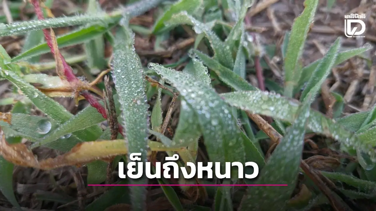 เหนือ-อีสาน’ อากาศเย็นถึงหนาว ‘กทม.-ตะวันออก-ใต้’ เย็นตอนเช้า