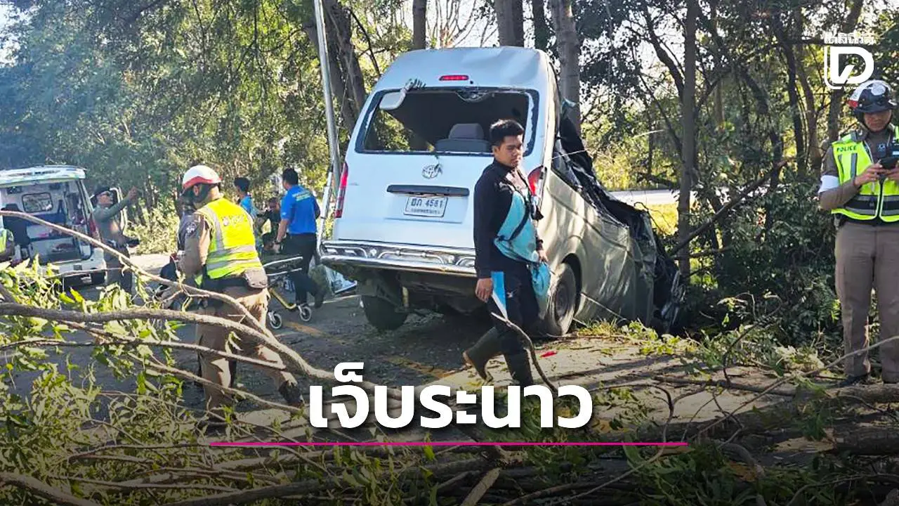 ลุงพาญาติไปงานรับปริญญาลูกหลาน หลับในพุ่งชนต้นไม้เจ็บระนาว 7 ราย
