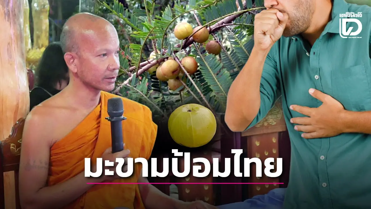 มะขามป้อมไทย สรรพคุณแก้ไข้ แก้ไอ แก้ลม แก้เสมหะ มีวิตามินซีสูงกว่าส้ม