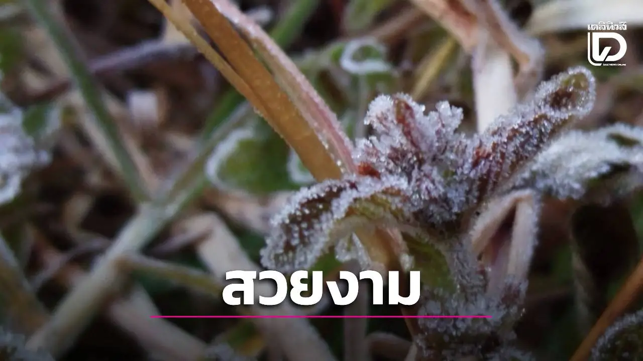 ฟินส่งท้ายปี! อินทนนท์ 5 องศาฯ เหมยขาบโผล่โชว์ นทท. นับหมื่น