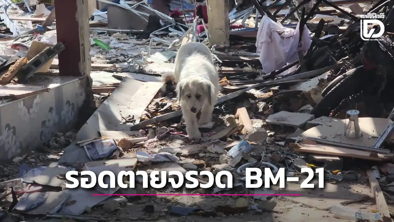 รื้อซากปรักหักพังเจอ 'หมาสงคราม' รอดตายจรวด BM-21 เขมรยิงถล่ม
