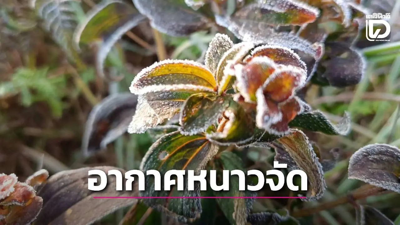 มวลอากาศเย็นจากจีนปกคลุมตอนบน 'เหนือ-อีสาน' อากาศหนาวถึงหนาวจัด