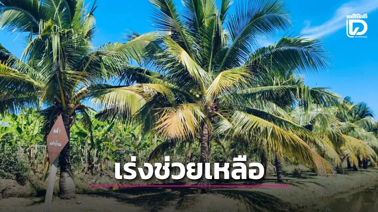 ย้ำไม่นิ่งนอนใจเร่งแก้ไขปัญหาชาวสวนมะพร้าวประจวบคีรีขันธ์