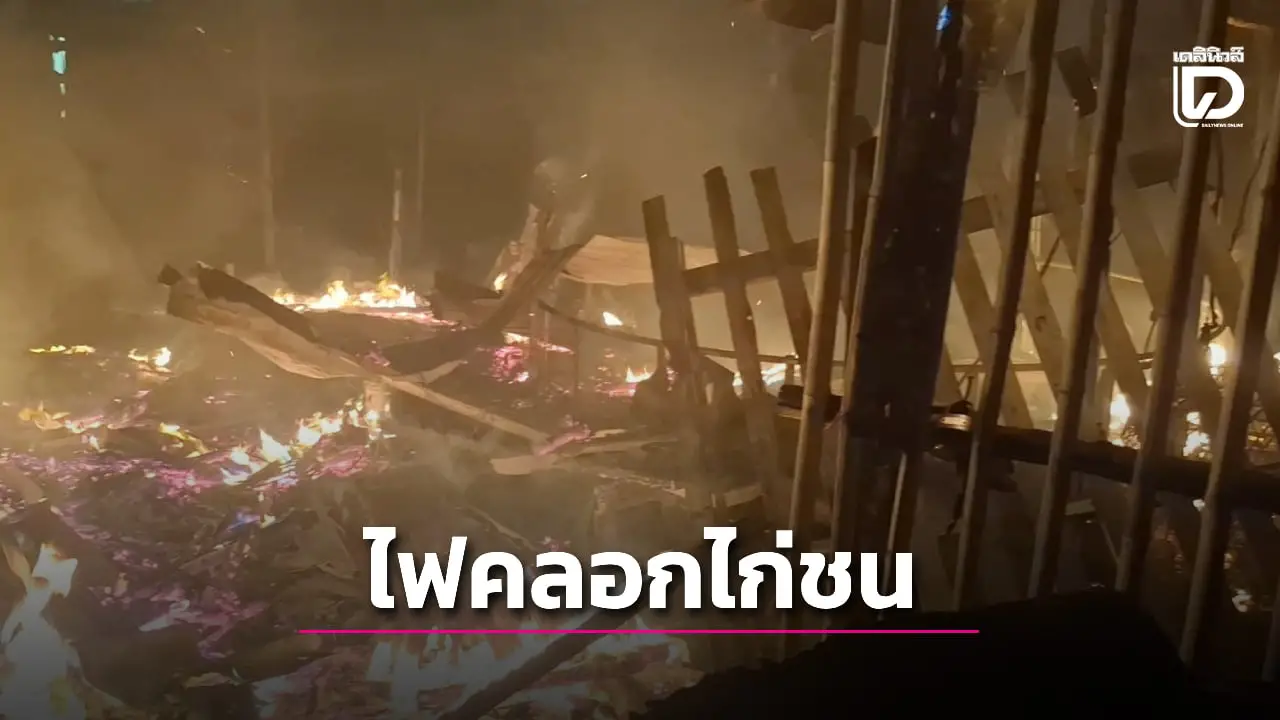 เพลิงไหม้ซุ้มไก่ชน ตัวเด็ดดังหลักแสนถูกไฟคลอก เจ้าของเผยเตรียมลงแข่งอาทิตย์นี้