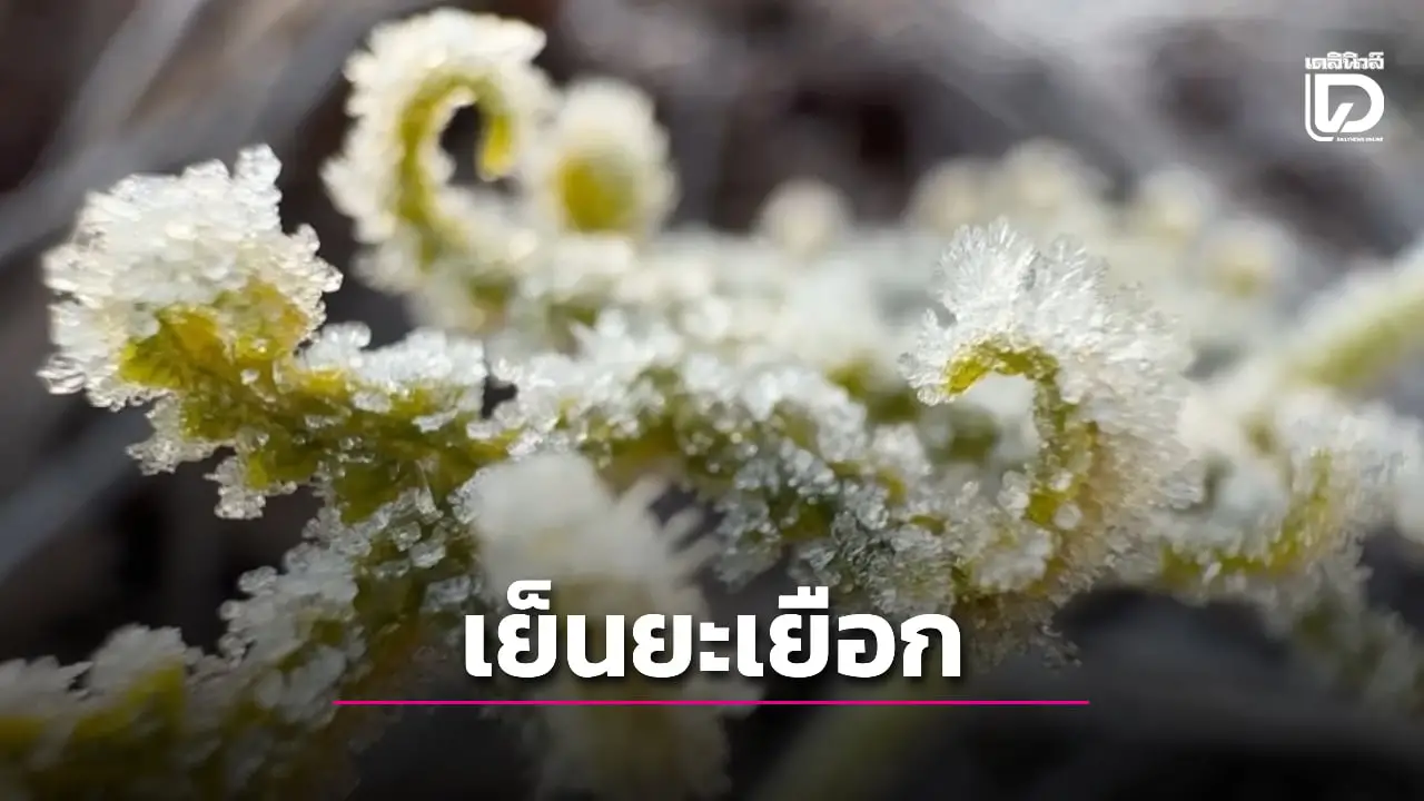 ‘ภูกระดึง’ เย็นยะเยือก อุณหภูมิเหลือ 4 องศาฯ เตือนนักท่องเที่ยว สวมใส่เสื้อกันหนาวให้พร้อม