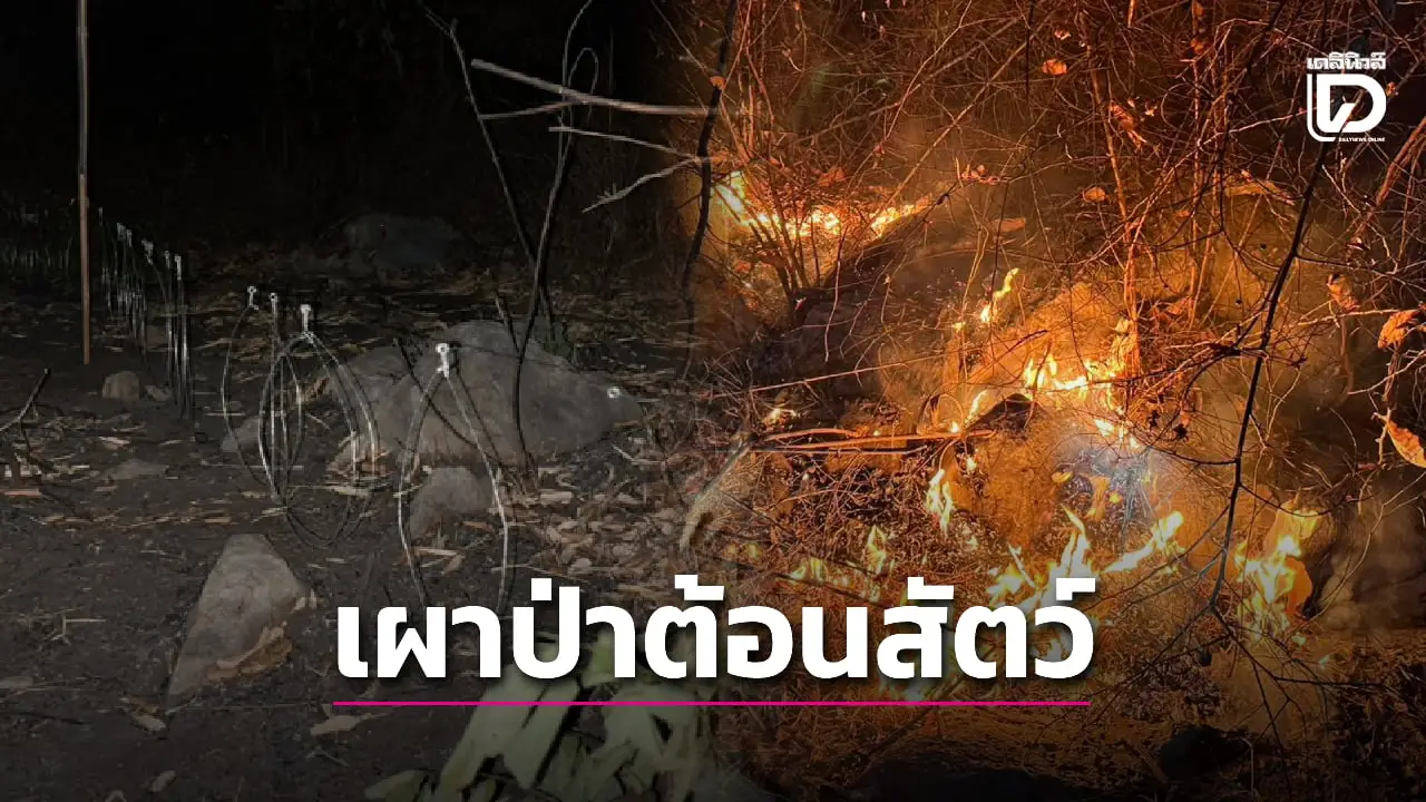 เคสแรกปี69​! อุทยานฯเอราวัณ สกัดไฟป่า พบรอยพรานแสบจุดไฟล่าสัตว์ไล่ติดบ่วง​