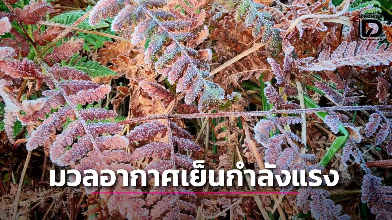 มวลอากาศเย็นกำลังค่อนข้างแรง 'เหนือ-อีสาน' อากาศหนาวถึงหนาวจัด