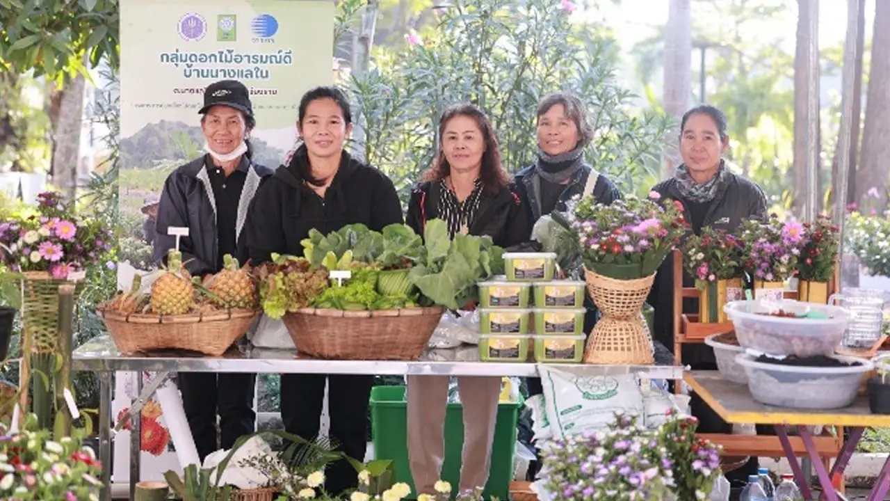 นวัตกรรมวัสดุปลูกชุมชน 'กลุ่มดอกไม้อารมณ์ดีบ้านนางแลใน' ขับเคลื่อนเกษตรปลอดการเผา ลดฝุ่น PM 2.5 อย่างยั่งยืน