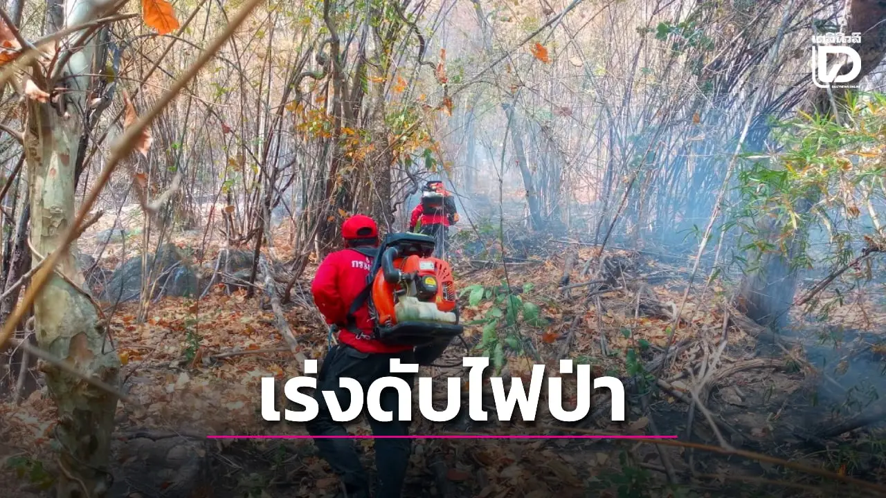 โทษหนักปรับ 2 ล้าน! สกัดไฟป่าชะอำ-บ้านโรง ลามแล้ว 300 ไร่วอนหยุดเผา