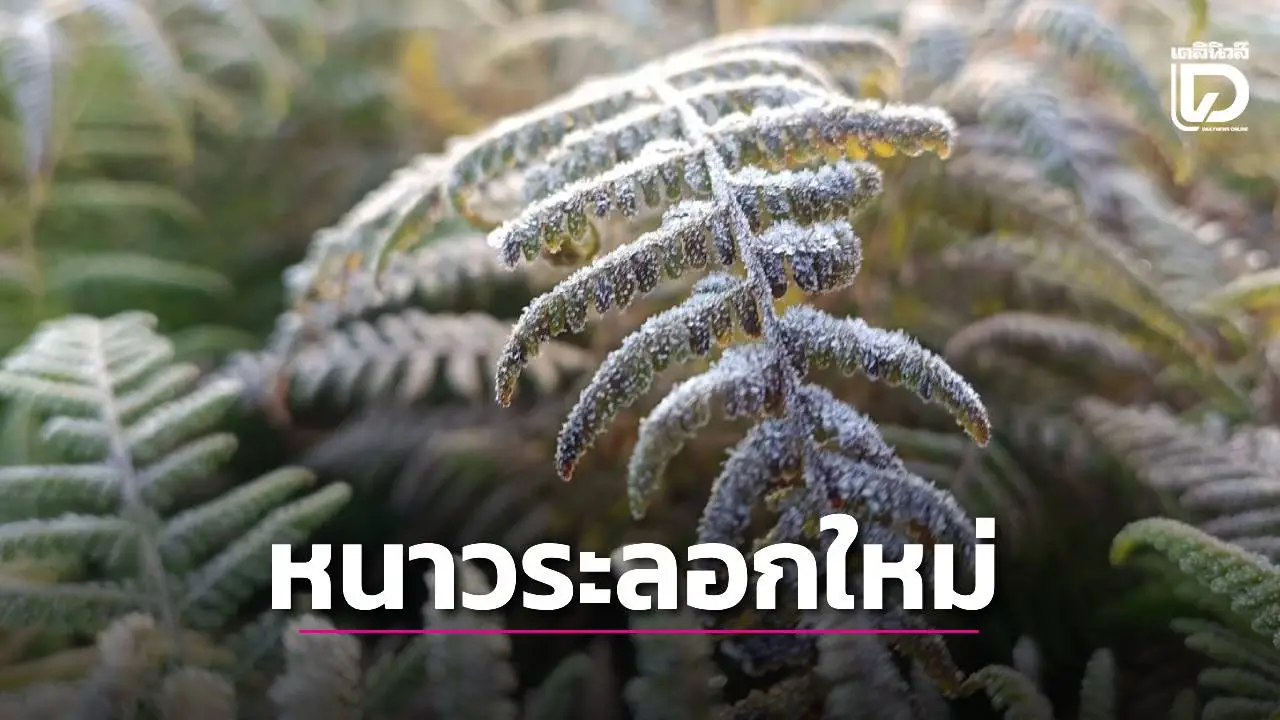 'อีสาน' เตรียมตัว! หนาวระลอกใหม่ อุณหภูมิลดฮวบ 2 องศาเซลเซียส
