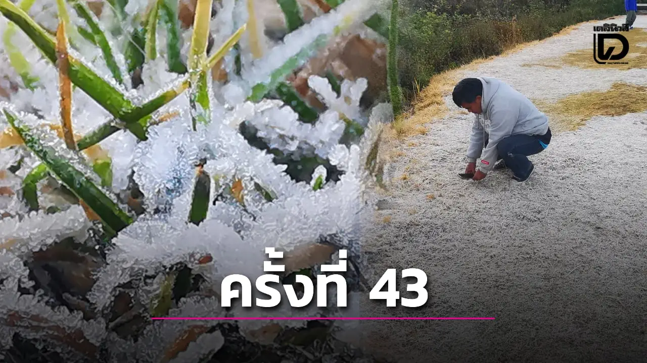 4 องศาฯ! ดอยอินทนนท์ เกิด ‘เหมยขาบ’ ครั้งที่ 43 นักท่องเที่ยวแห่สัมผัสหนาว
