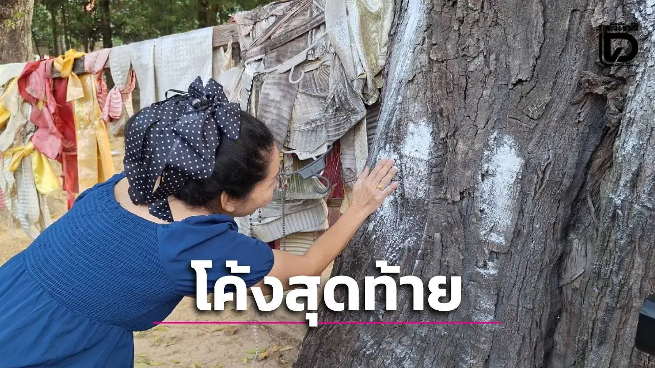 ฮือฮา! 'แม่นางแก้วทิพย์' ตะเคียนร้อยปีปราจีนบุรี ให้โชคหลักแสน ชาวบ้านแห่ลูบเลขเด็ดเห็นชัด 2-3 ตัวตรง!