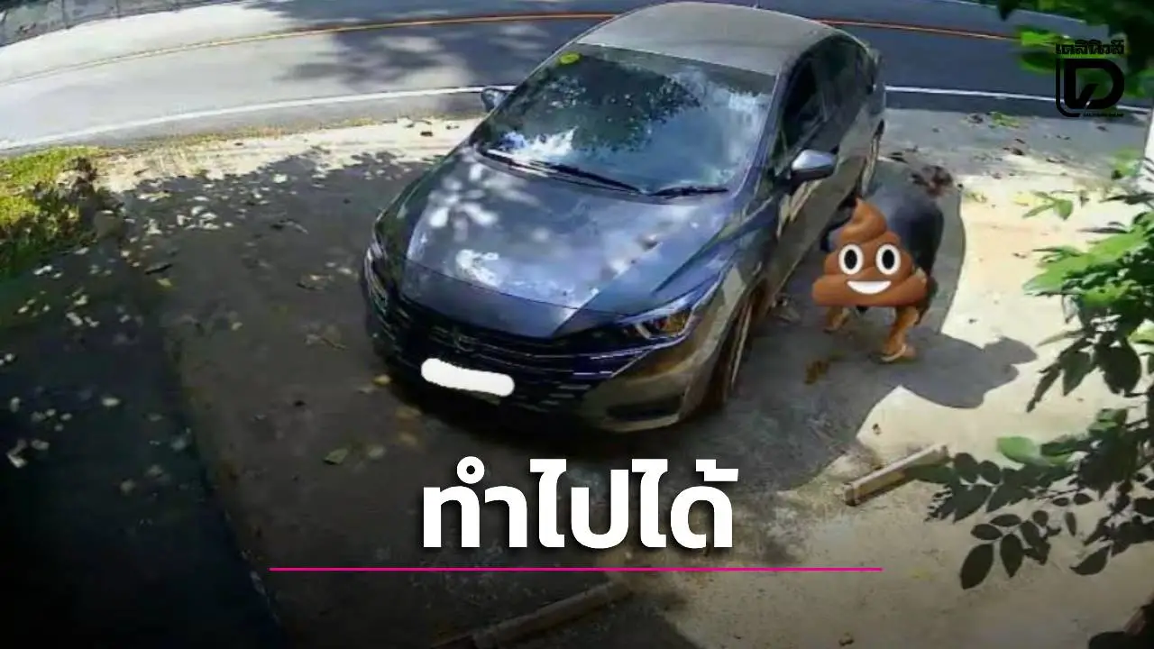 อย่าหาทำ! ที่พักลั่นแจ้งความแน่ หลังเจอ 'มือดี' บุกรุกจอดรถ-อุจจาระทิ้งกลางลานจอด ชี้ไร้จิตสำนึกขั้นสุด