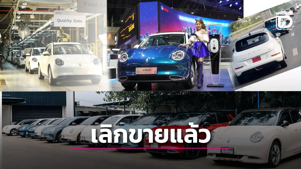 เกรทวอลล์ เลิกขาย ORA Good Cat